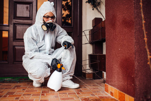 Reliable Cockroach Control contractor in Bethel, AK by Nex Pest Control